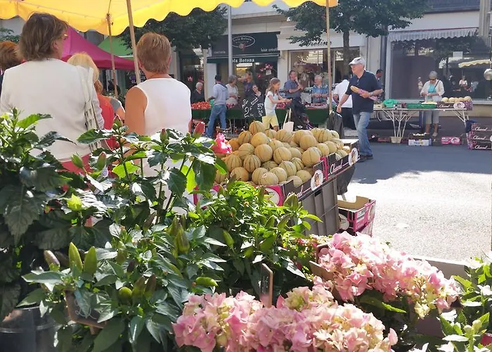 Lejlighed Les Camellias